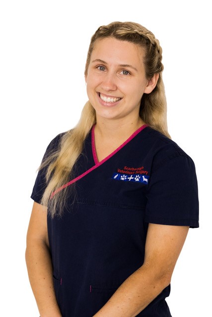 Scarborough Veterinary Clinic - Our Staff - Nurse Brooke